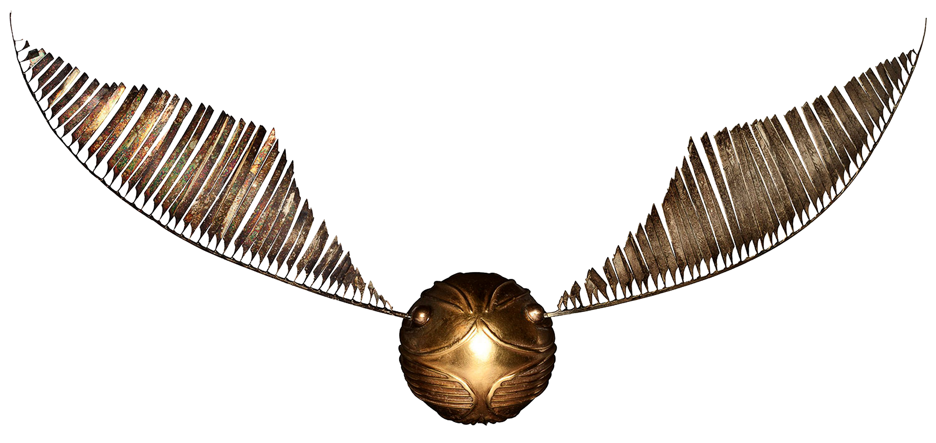 Golden Snitch Harry Potter Wiki Fandom