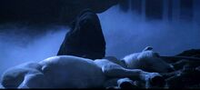 Harry-potter1-disneyscreencaps.com-13520