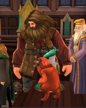 Rubeus Hagrid S Birthday Celebration Harry Potter Wiki Fandom