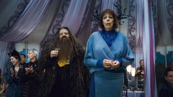 Rubeus Hagrid Harry Potter Wiki Fandom