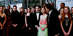 Yule ball2