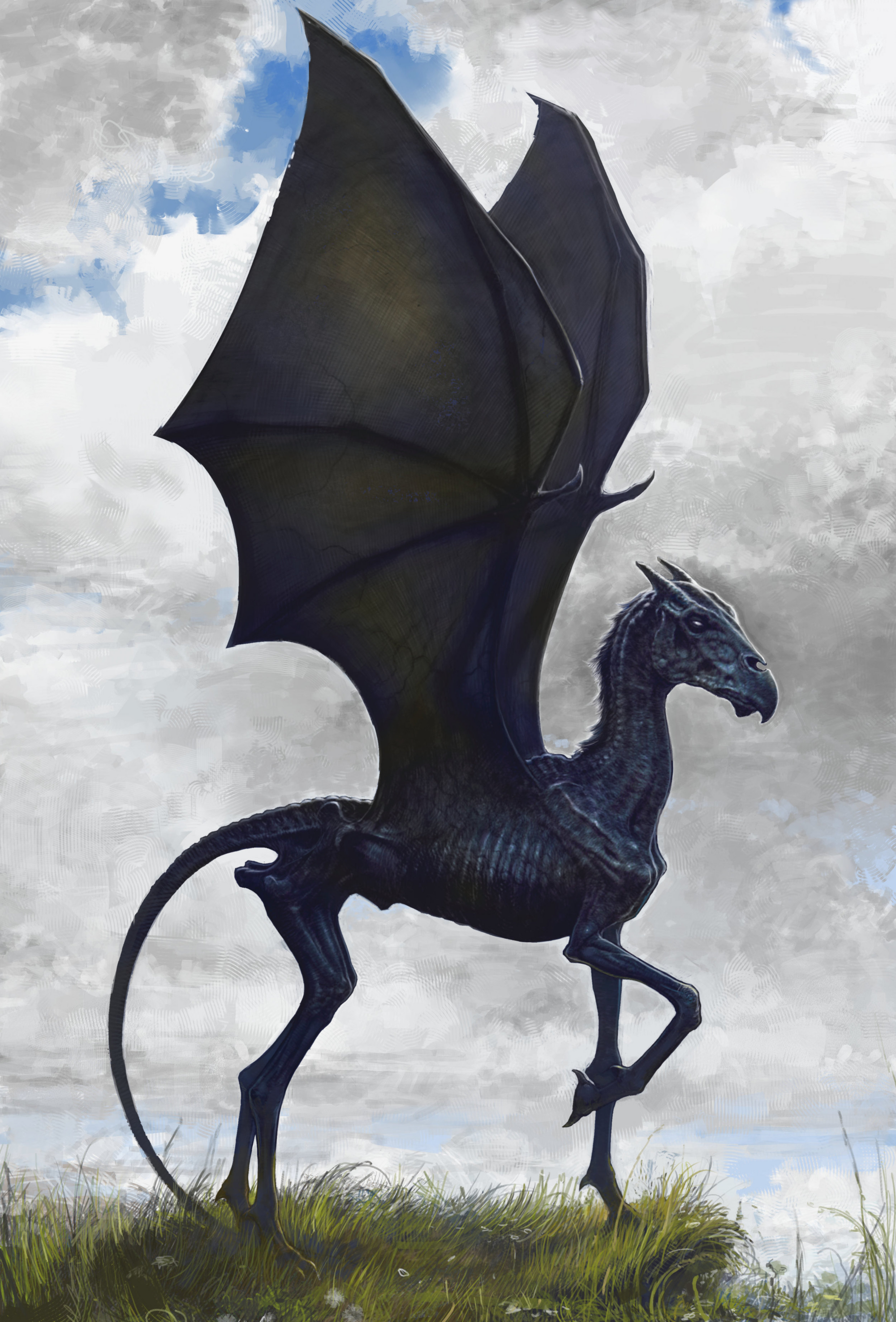 Thestral Harry Potter Wiki Fandom Powered By Wikia - 