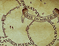 Dumbledore on the Marauder's Map
