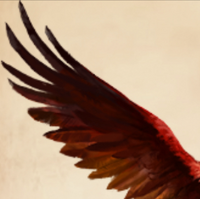 Phoenix Harry Potter Wiki Fandom