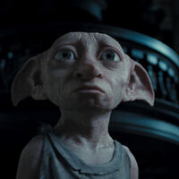 Dobby Wiki Harry Potter Fandom