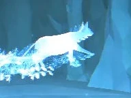 SphynxCat-patronus