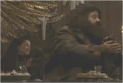 Professor and Hagrid