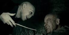 Voldemort and grindelwald