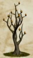 Fire Seed Bush