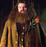 Hagrid3