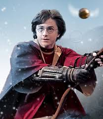 Quidditch | Harry Potter | FANDOM powered by Wikia
