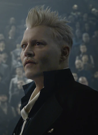 22 Fantastic Beasts Harry Potter Characters Who Are Related Page 4
