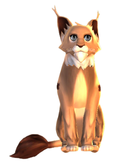 Kneazle HM