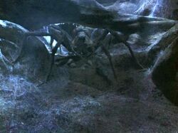 Acromantula