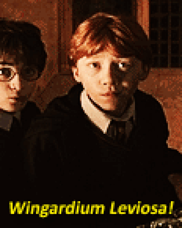 Hermione Granger Memes