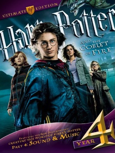 harry potter year 4 book