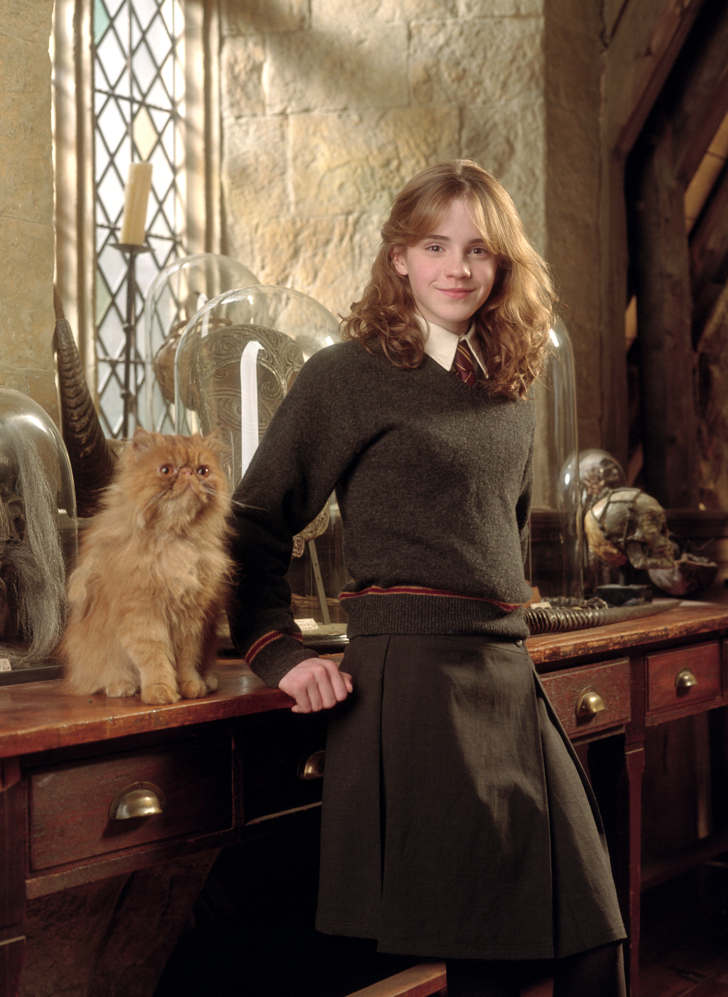 Image Hermione Poa Harry Potter Wiki Fandom Powered By Wikia 
