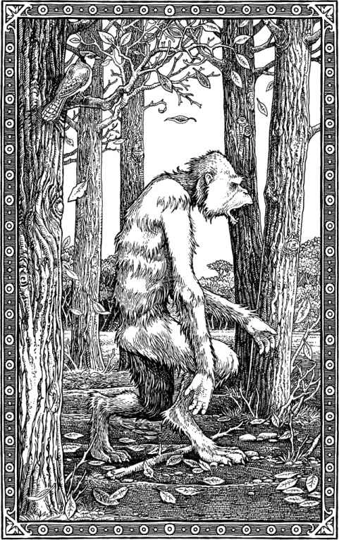 ハイドビハインド妖怪 Harry Potter Wiki Fandom