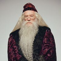 Albus Brumbal Harry Potter Wiki Fandom