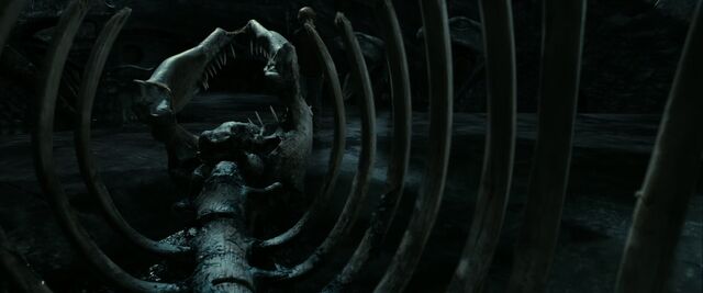 File:Basilisk skeleton.jpg