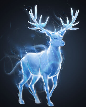 Sortilège Du Patronus Wiki Harry Potter Fandom