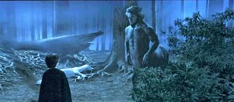 Centaurs In Harry Potter And The Philosophers Stone