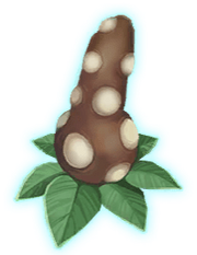 BubotuberWU
