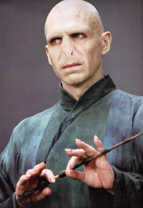 Lord Voldemort Harry Potter Wiki Fandom