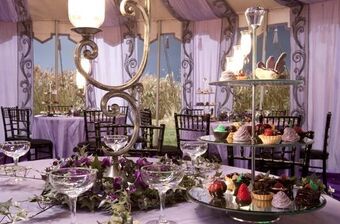 Wedding Of William Weasley And Fleur Delacour Harry Potter Wiki