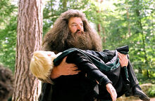 Malfoy