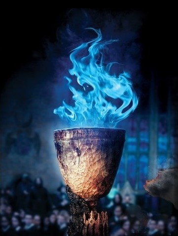 potter goblet fire
