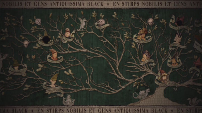 Tapisserie De La Famille Black Wiki Harry Potter Fandom