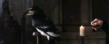 animated gif of Professor McGonagall's bird turning into a glass goblet at a tap of her wand