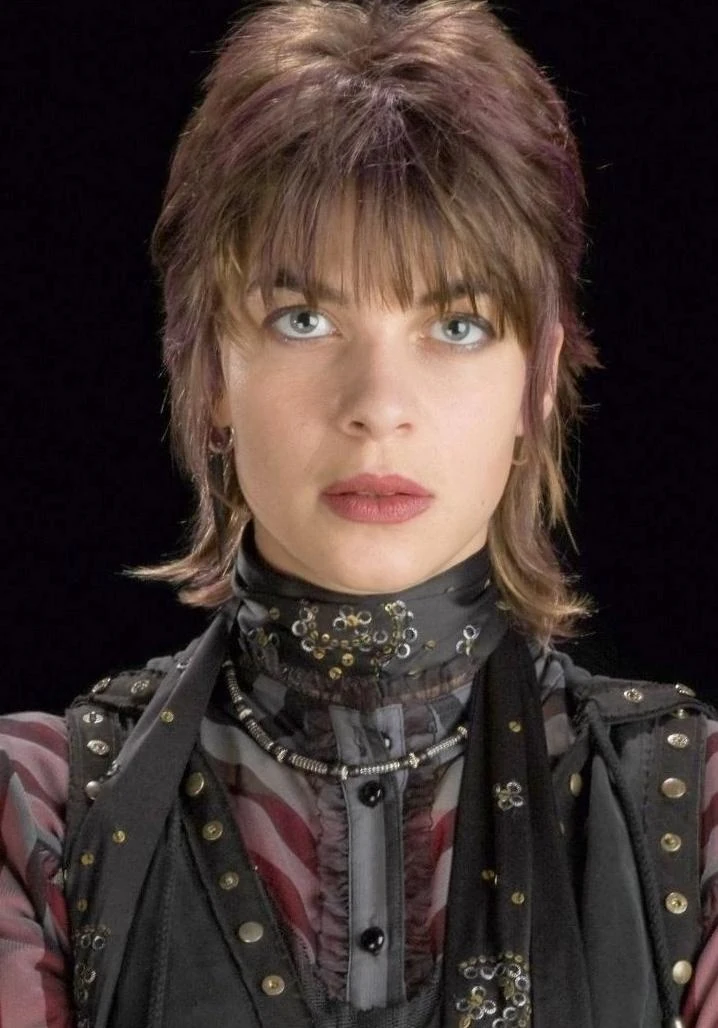 Image Nymphadora Tonks profile.jpg Harry Potter Wiki FANDOM