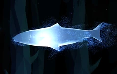 Salmon-Patronus