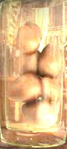 Ovos de Cinzal