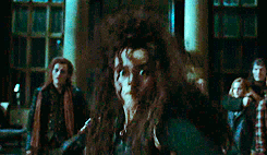 Bellatrix vs sequestradores