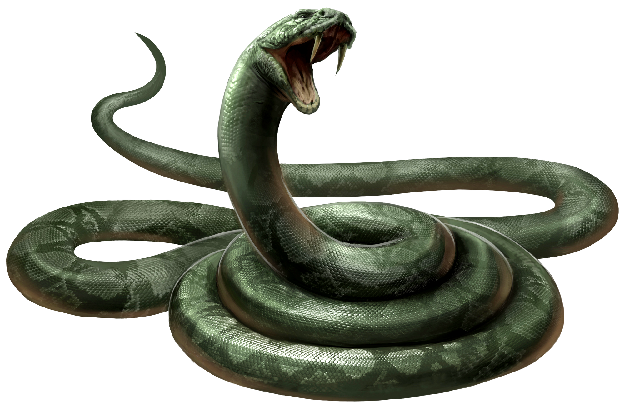 Nagini Harry Potter Wiki FANDOM Powered By Wikia nagini-harry-potter-wiki-fandom-powered-by-wikia