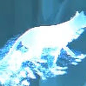 Pottermoretest Du Patronus Wiki Harry Potter Fandom