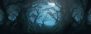 PM-Moment B1C15 NightInTheForbiddenForest