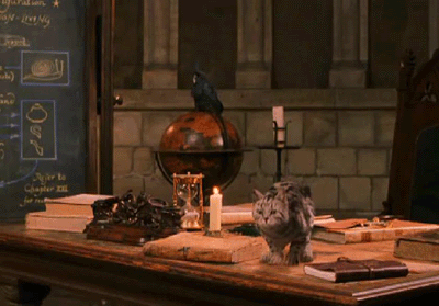 Résultat de recherche d'images pour "harry potter à l'école des sorciers Minerva McGonagall"
