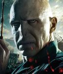 DH2 IAE Voldemort