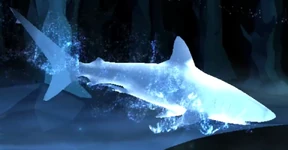 Shark Patronus