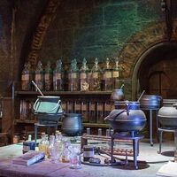 Eliksiry Harry Potter Wiki Fandom