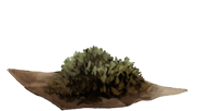 DriedNettles