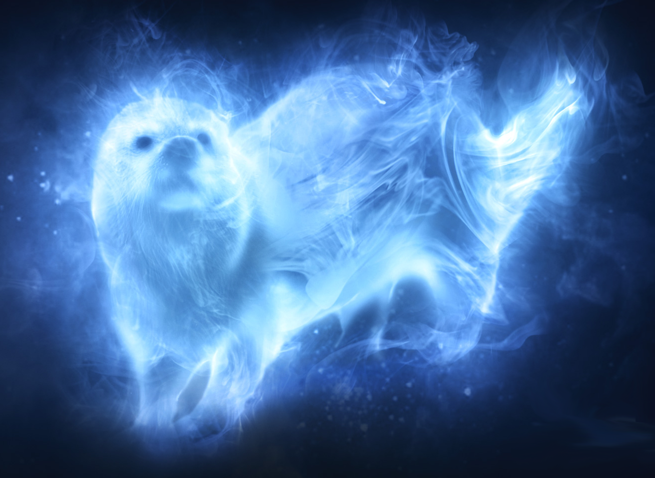 Image result for ron and hermione patronus