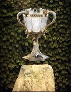 Taça Tribruxo 003