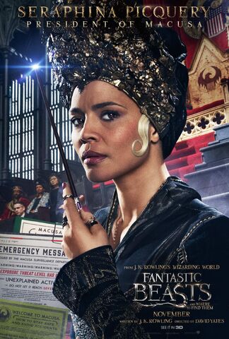 File:Fantastic-Beasts-and-Where-to-Find-them-Character-Posters-9.jpg