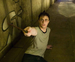 Harry5.4