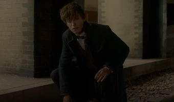 Norbert Dragonneau Wiki Harry Potter Fandom